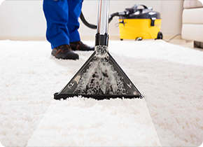 Professional Carpet Rug Cleaning